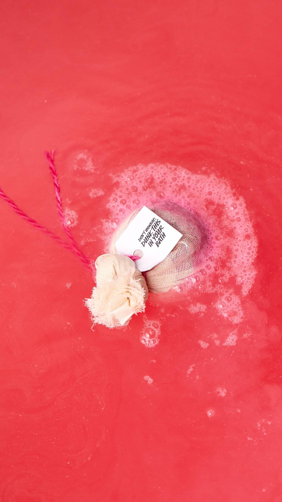 082ED848-0EF9-79C2-4249-7F3F6E540C8A